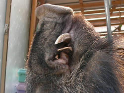 SANY0061.JPG