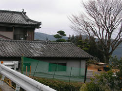 SANY0108.JPG