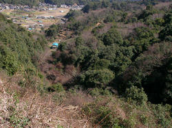 SANY0274.JPG