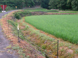 SANY0377.JPG
