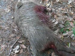 SANY0343.JPG