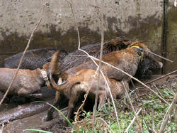 SANY0485.JPG