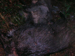 76c7d4b8.JPG