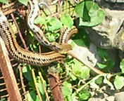 SANY0999.JPG