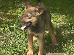SANY0033.JPG