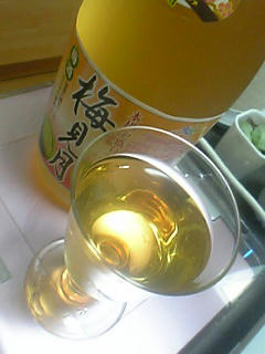 08.10.30ume.jpg