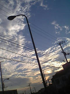 08.10.30sora.jpg