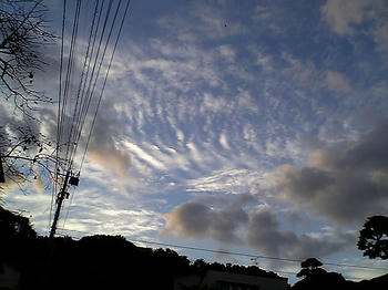 08.11.10sora-2.jpg
