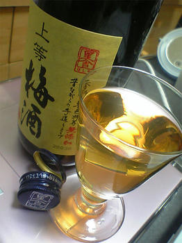 08.11.26ume.jpg