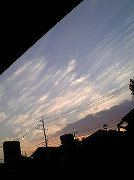 08.11.26sora-2.jpg