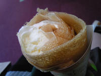 SH3C0113.JPG