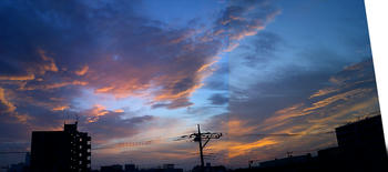 CA2801066.jpg