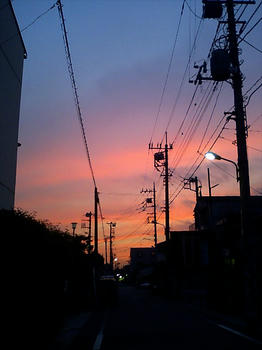 CA280125.jpg
