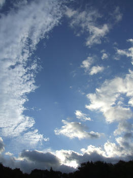 DSCF00048.jpg