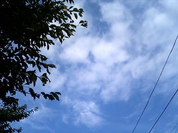 CA280146.jpg