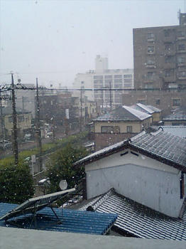CA280243.jpg