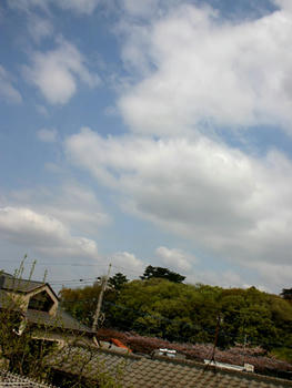 080409027.jpg
