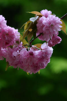 080417031.jpg