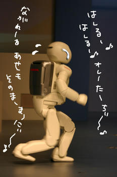 080720012.jpg