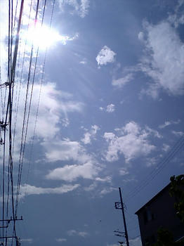 CA280340.jpg