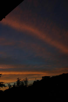 080728002.jpg