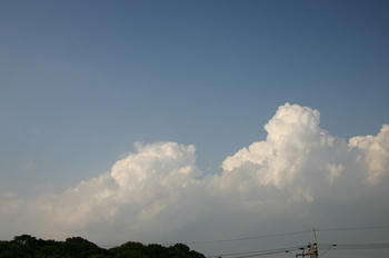 080728006.jpg