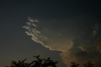 080728011.jpg
