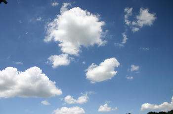 080807008.jpg