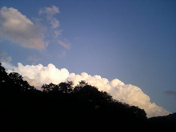 CA280315.jpg