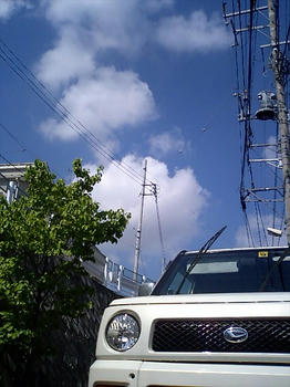 CA280381.jpg