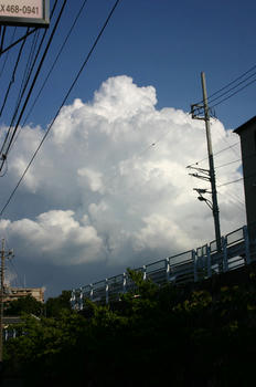 b24edf6f.jpg