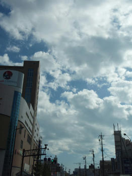 081019019.jpg