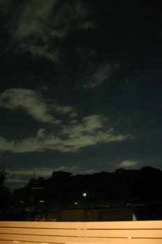 081029021.jpg