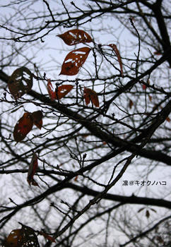 081119058.jpg
