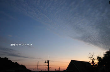 081123029.jpg.jpg