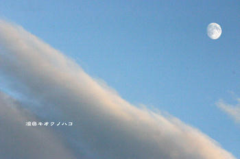 081210080.jpg.jpg