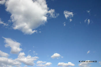 090101010.jpg.jpg