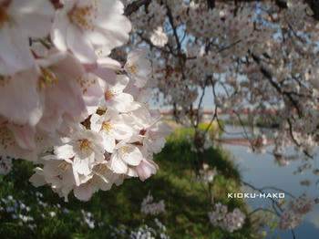 090407041.jpg