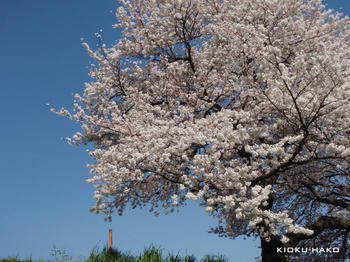 090407030.jpg