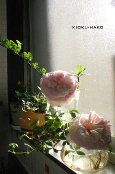 090513011.jpg
