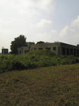 c80a214b.jpg