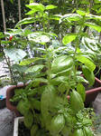 SBSH00881.JPG