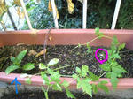 SBSH00871.JPG