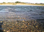 SBSH01111.JPG
