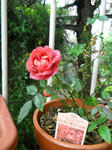 DSCN0192.JPG