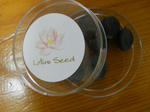 DSCN0230.JPG