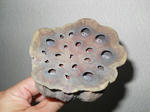 DSCN0226.JPG