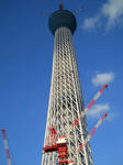DSCN0241.JPG