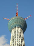 DSCN0243.JPG