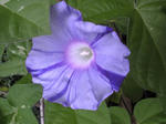SBSH02201.JPG